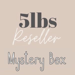5lb Reseller Mystery Box at least one NWT item